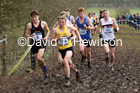 Mens under-20s, 2020 British Athletics Inter Counties Cross Country Champs., Prestwold Hall, Loughborough. Photo: David T. Hewitson/Sports for All Pics
